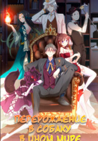 QtntbQscr80Y_250x350