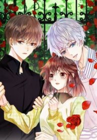 e96P8sqbgOzr_250x350