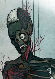 nXT0ztDdGfIK_250x350