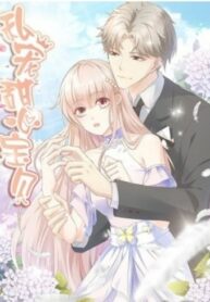 Xaqa3T15ZQZR_250x350