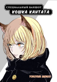 BzFHgMgZJTvn_250x350