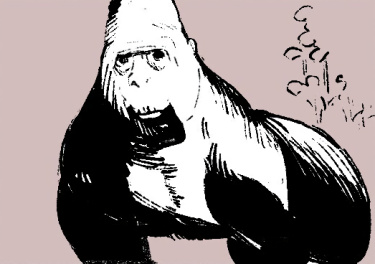 L6cyhX8q3C0D_250x350