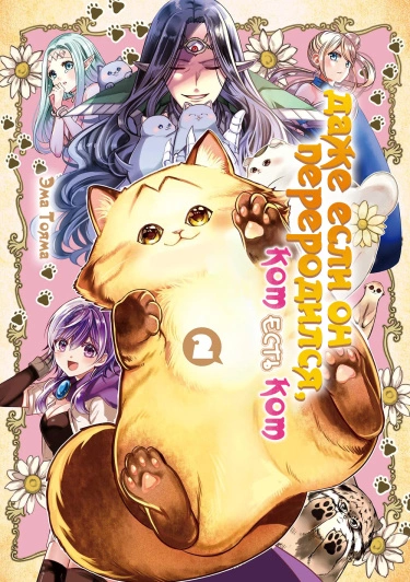 BfmsPvT9wI1E_250x350