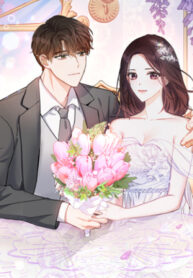 GV900BAwFYfb_250x350