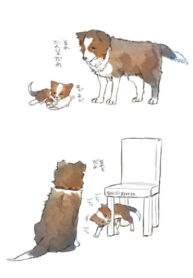 OGCyTmBlPSrn_250x350