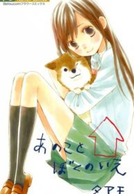 zwQ8wgJt4BBd_250x350