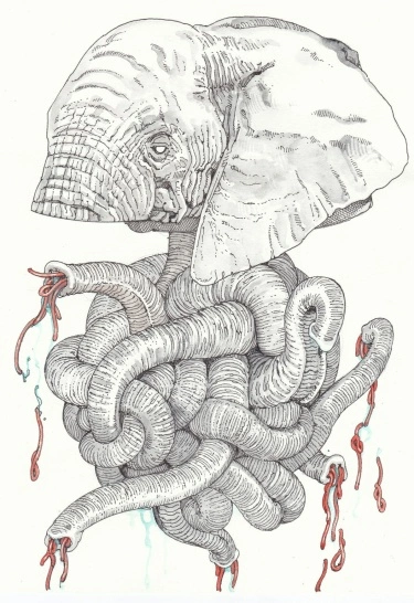 WhIs9GYm463B_250x350