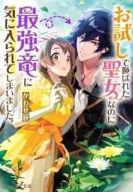 J49cWemARRv6_250x350