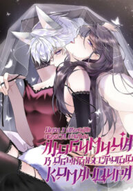 ada91069-f1d6-4378-832f-c9c428fec689