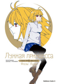 cover_Лунная принцесса -A piece of blue glass moon- Фазы Луны