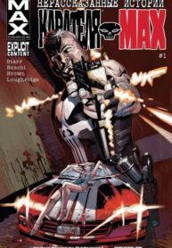 cover_Нерасcказанные истории Карателя МАКС