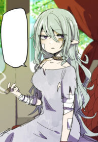 cover_Я купила грубую рабыню-эльфийку