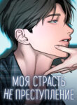 cover_Моя страсть не преступление
