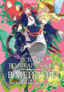 История реинкарнаций в Мейдере