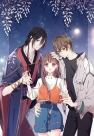 fWfunxol48MX_250x350