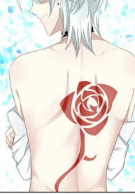 XPmH0YHV7Bxf_250x350