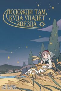 Подожди там, куда упадёт звезда