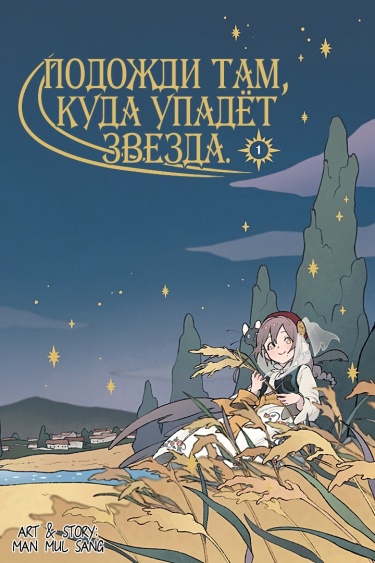 Подожди там, куда упадёт звезда