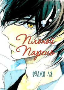 Плохой парень (Warui Hito)