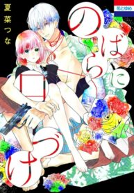 phYDhk1p9Hib_250x350