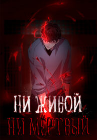 yMwAR3CAfjl9_250x350