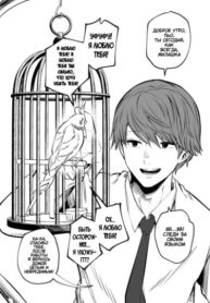 kICqKeqPViPA_250x350