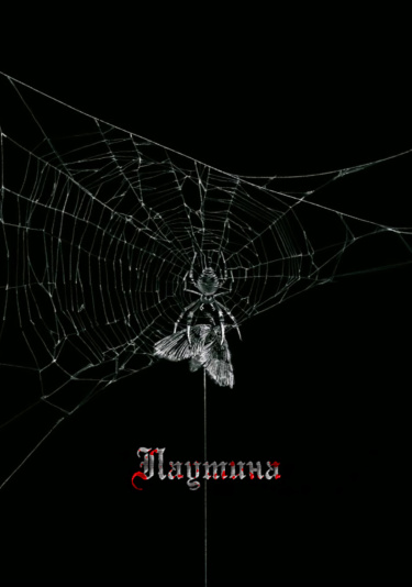Паутина