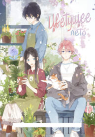 4f9kPkIR2BrY_250x350