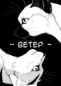Ветер