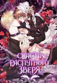 XUPwsfimkyhd_250x350