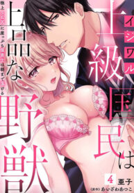 VP26COKPtquR_250x350