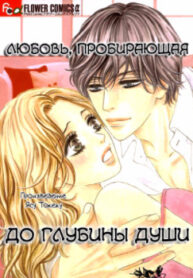 cover_250x350 (5)
