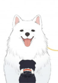 RE8uieR3jco6_250x350