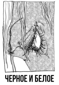 x0xbAVnPAe43_250x350