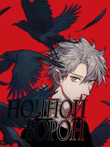 Ночной Ворон (Night Crow)