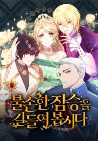 hvWp3KnP2kLl_250x350