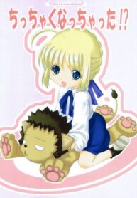 p8nTo9mItysc_250x350