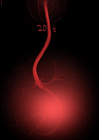 20|4