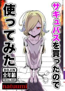 Повседневная жизнь с рабыней-суккубом (Succubus Dorei to no Nichijou)
