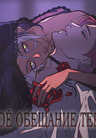 cover_Моё обещание тебе