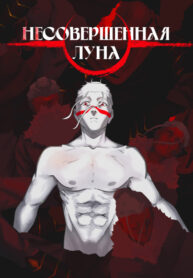 cover_Несовершенная луна