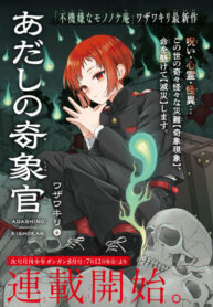 cover_Инспектор по аномалиям Адашино