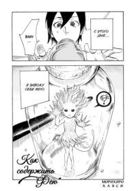 cover_Как содержать фею