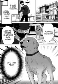 cover_Когда я проник в дом, чтобы ограбить, меня обнаружила домашняя собака