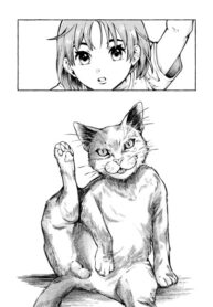 cover_На грани