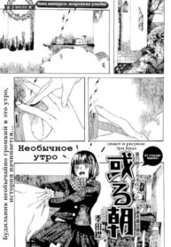 cover_Необычное утро