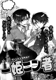 cover_Ниндзя Ичихимэ