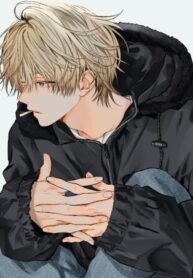 cover_Сборник от NLLE