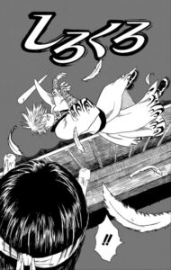 ШИРОКУРО (Shirokuro)