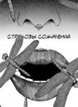 cover_Стрекозы сожаления
